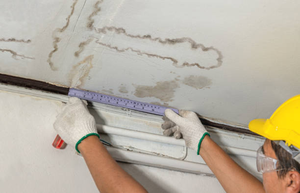 Reliable Sewage Cleanup contractor in Grant, CO by Water Damage Irwin